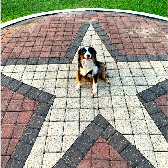 Meet your Posher, Jeff - Picture 6 of 7